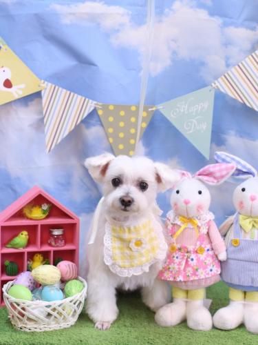 20240323ヒメちゃん